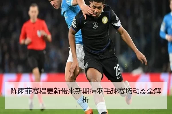 陈雨菲赛程更新带来新期待羽毛球赛场动态全解析